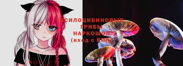 ALPHA PVP Беломорск