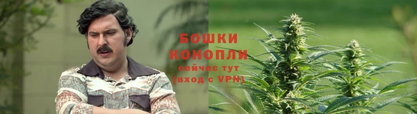 ALPHA PVP Беломорск