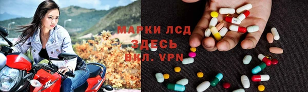ALPHA PVP Беломорск