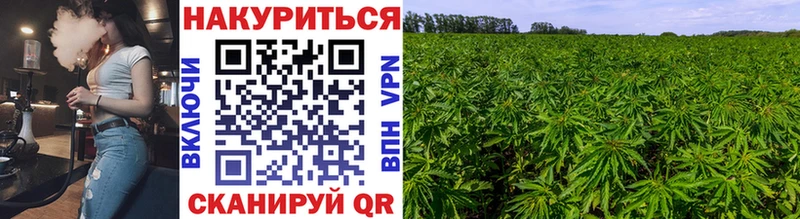 магазин продажи наркотиков  Облучье  МАРИХУАНА ГИДРОПОН 